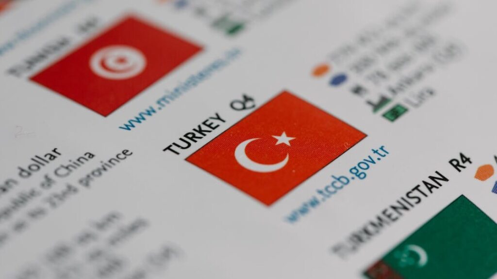 Demande de visa en Turquie - modèle à télécharger en PDF