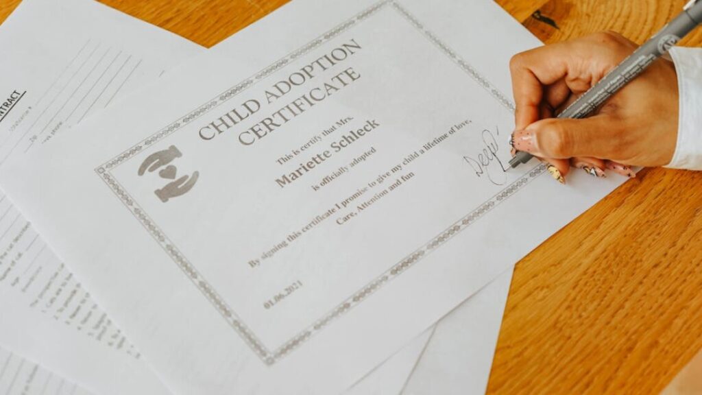 Demande de casier judiciaire n 1 gratuitement - télécharger le formulaire PDF